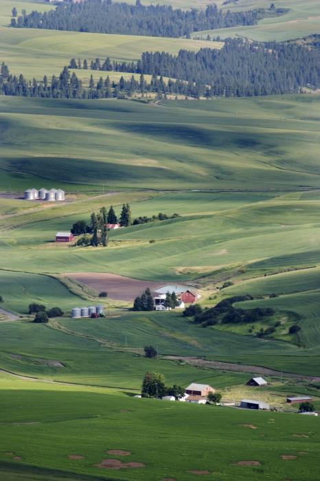 farmland-in-eastern-washington-state-carl-purcell[1].jpg