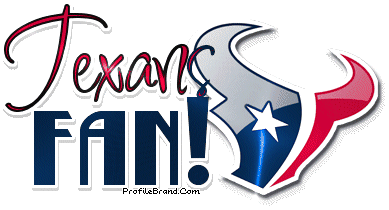 texans fan.gif